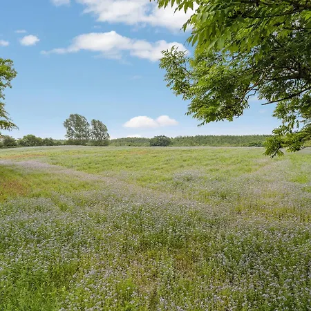 Lovely In Haderslev With Wifi Holiday home *